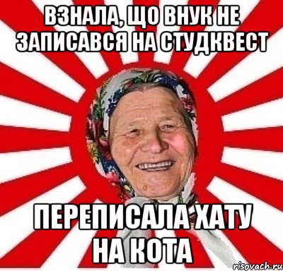 взнала, що внук не записався на студквест переписала хату на кота, Мем  бабуля