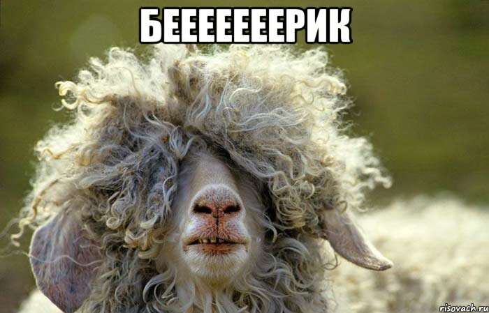 бееееееерик 
