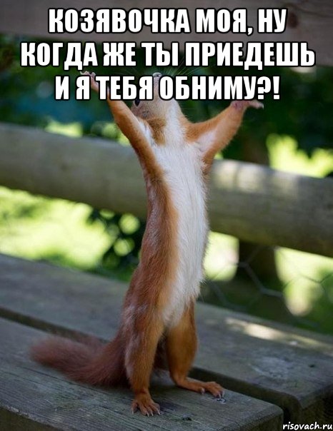 Козявочка моя, ну когда же ты приедешь и я тебя обниму?! , Мем    белка молится