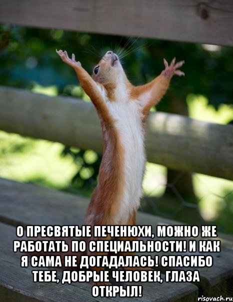  о пресвятые печенюхи, можно же работать по специальности! и как я сама не догадалась! спасибо тебе, добрые человек, глаза открыл!, Мем    белка молится