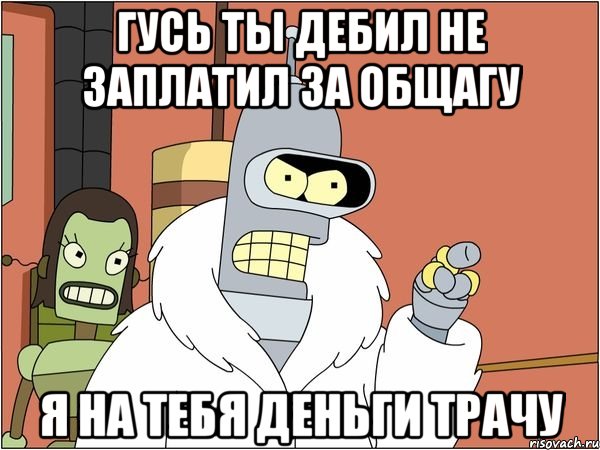 гусь ты дебил не заплатил за общагу я на тебя деньги трачу, Мем Бендер