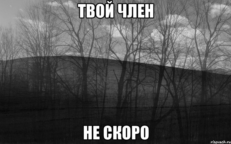 твой член не скоро, Мем безысходность лес