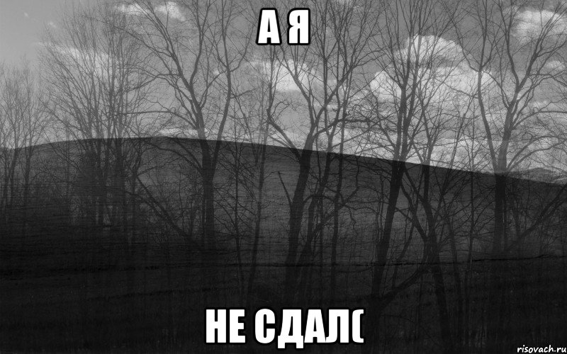 А я НЕ СДАЛ(, Мем безысходность лес