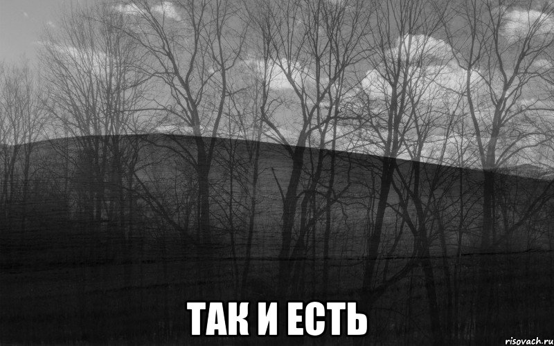  Так и есть, Мем безысходность тлен боль