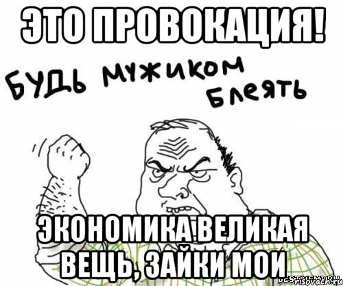 Это провокация! Экономика великая вещь, зайки мои, Мем блять