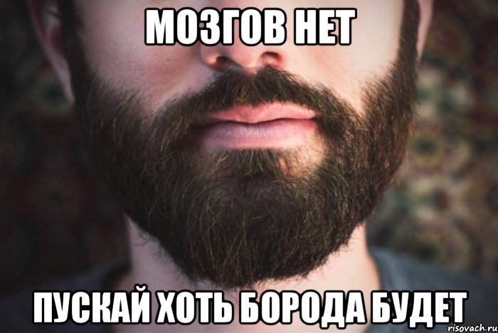 мозгов нет пускай хоть борода будет