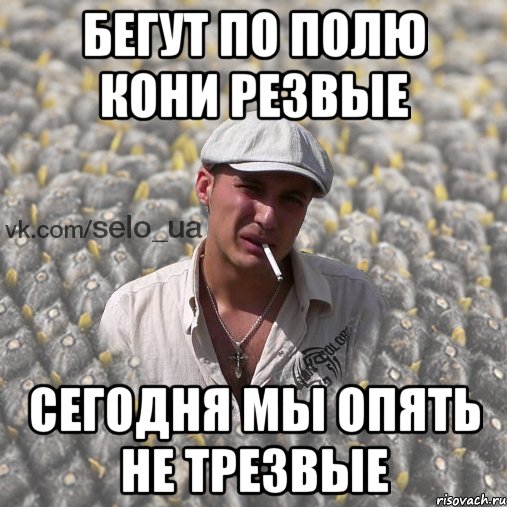 БЕГУТ ПО ПОЛЮ КОНИ РЕЗВЫЕ СЕГОДНЯ МЫ ОПЯТЬ НЕ ТРЕЗВЫЕ