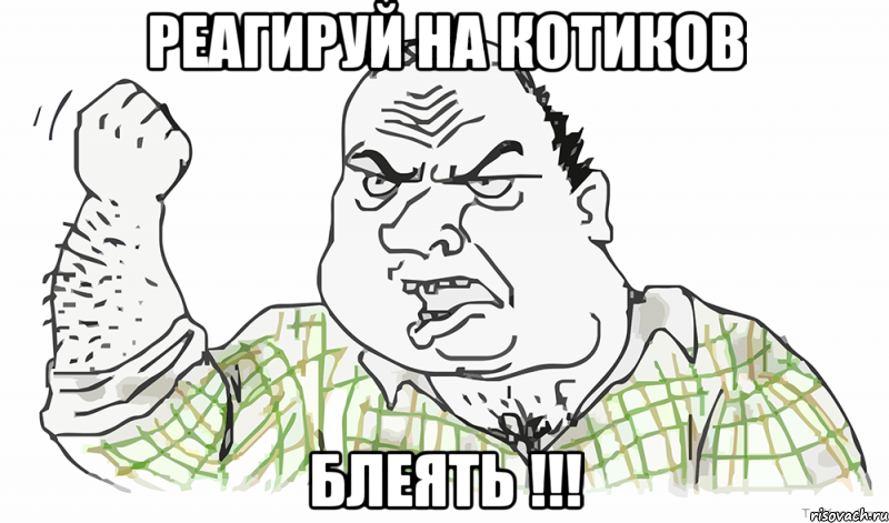 РЕАГИРУЙ НА КОТИКОВ БЛЕЯТЬ !!!, Мем Будь мужиком