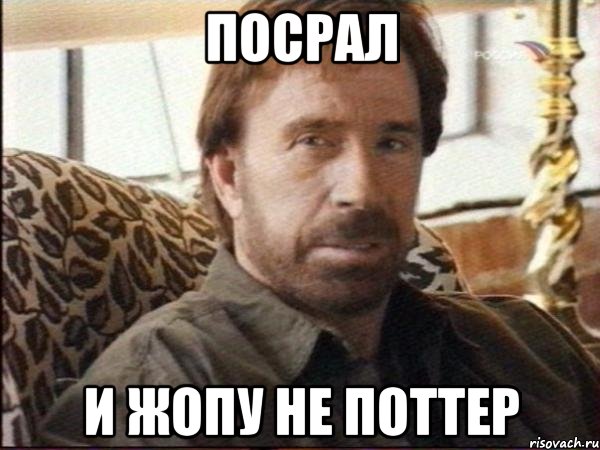 ПОСРАЛ И ЖОПУ НЕ ПОТТЕР, Мем чак норрис