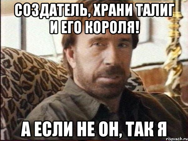 Создатель, храни талиг и его короля! а если не Он, так я, Мем чак норрис