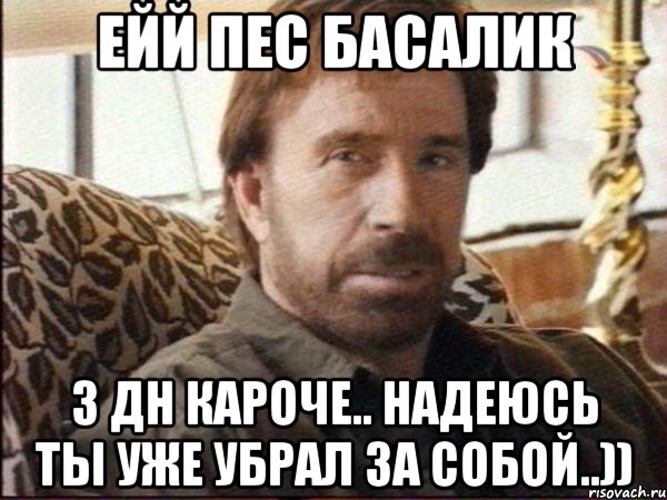 ейй пес басалик з дн кароче.. надеюсь ты уже убрал за собой..)), Мем чак норрис