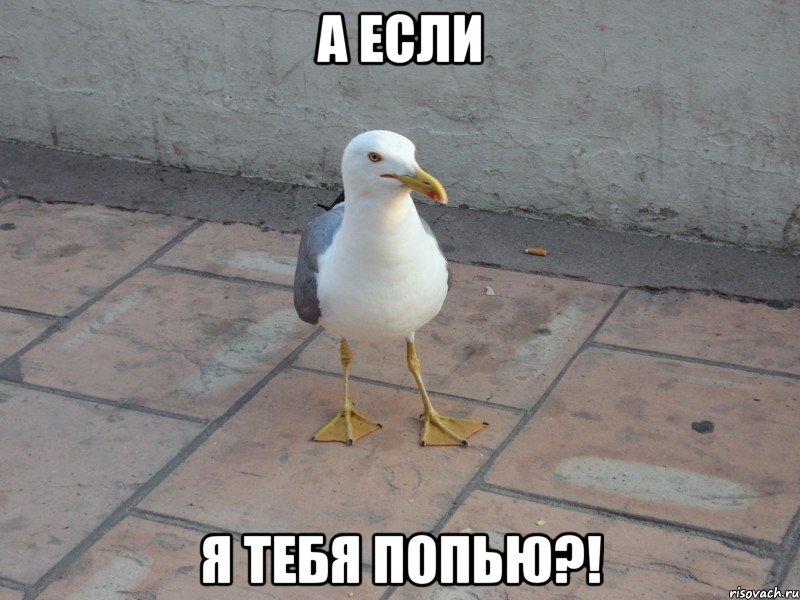 А если Я тебя попью?!