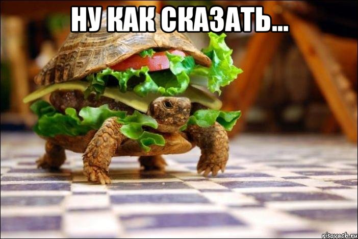 Ну как сказать... , Мем черепаха
