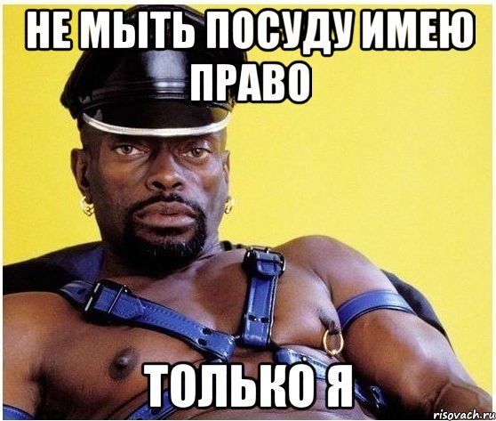 НЕ МЫТЬ ПОСУДУ ИМЕЮ ПРАВО ТОЛЬКО Я, Мем Черный властелин