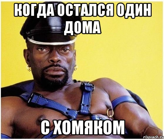 когда остался один дома с хомяком, Мем Черный властелин