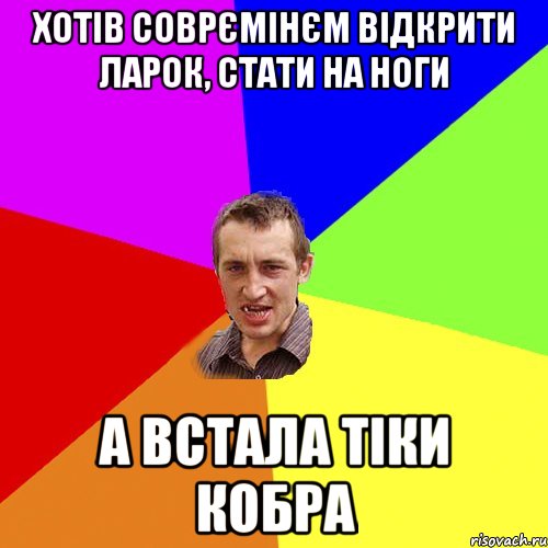 хотів соврємінєм відкрити ларок, стати на ноги а встала тіки кобра, Мем Чоткий паца