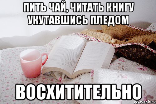 Пить чай, читать книгу укутавшись пледом восхитительно