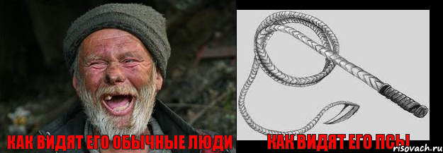 как видят его обычные люди как видят его псы 