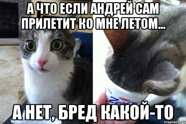 А что если Андрей сам прилетит ко мне летом... А нет, бред какой-то, Комикс  Да не бред-какой-то (2 зоны)