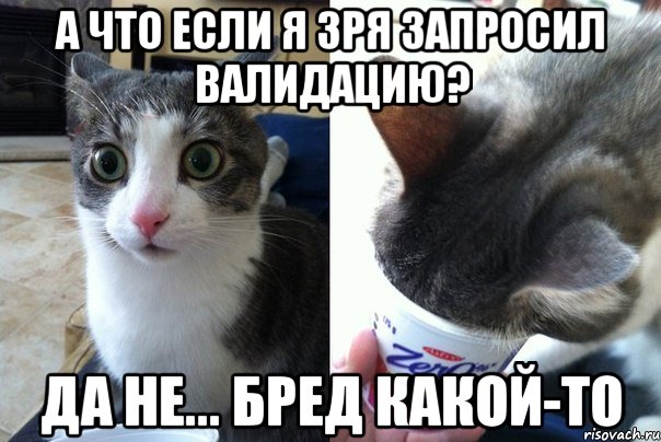 а что если я зря запросил валидацию? да не... бред какой-то, Комикс  Да не бред-какой-то (2 зоны)