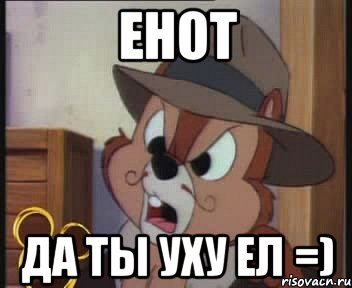 енот да ты уху ел =), Мем да ты охуел