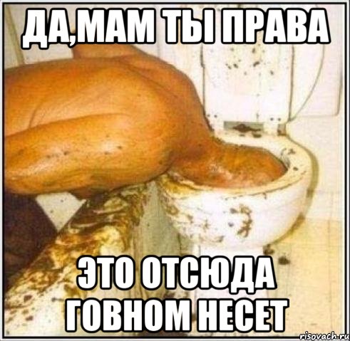 Да,мам ты права это отсюда говном несет, Мем Дайвер