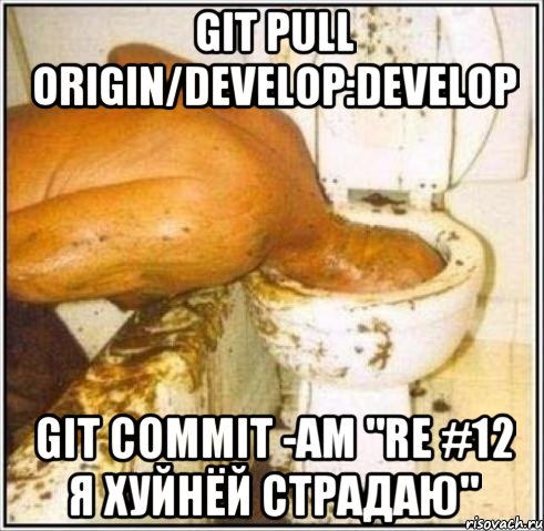 git pull origin/develop:develop git commit -am "re #12 Я хуйнёй страдаю", Мем Дайвер