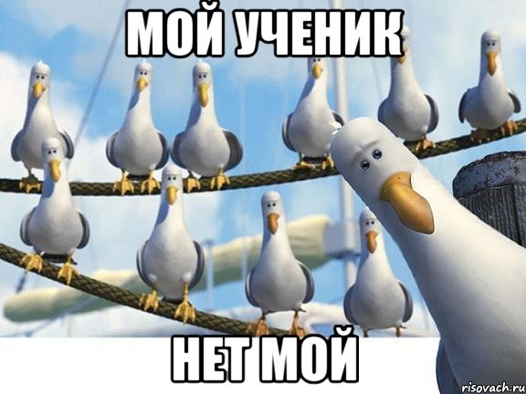 Мой ученик нет мой