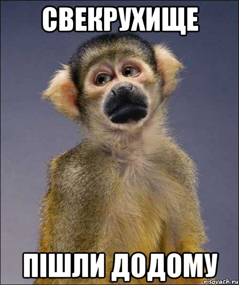 СВЕКРУХИЩЕ ПІШЛИ ДОДОМУ, Мем депрессивная мартышка