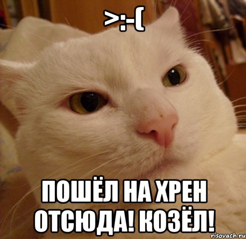 >:-( Пошёл на хрен отсюда! Козёл!, Мем Дерзкий котэ