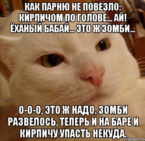 Как парню не повезло: Кирпичом по голове... Ай! Ёханый бабай... Это ж зомби... О-о-о, это ж надо. Зомби развелось, теперь и на баре и кирпичу упасть некуда., Мем Дерзкий котэ