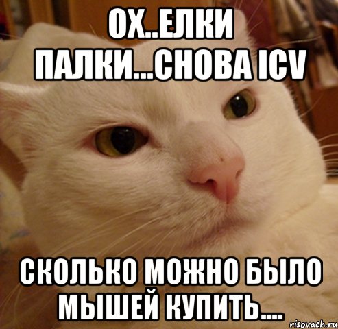 ох..елки палки...снова ICV сколько можно было мышей купить...., Мем Дерзкий котэ