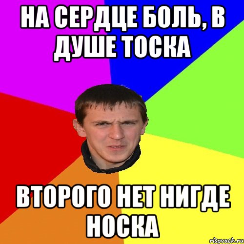 НА СЕРДЦЕ БОЛЬ, В ДУШЕ ТОСКА ВТОРОГО НЕТ НИГДЕ НОСКА