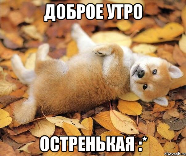 доброе утро остренькая :*, Мем Доброе утро Пора вставать из под