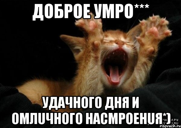 Доброе уmро*** Удaчного дня и оmлuчного насmроенuя*)