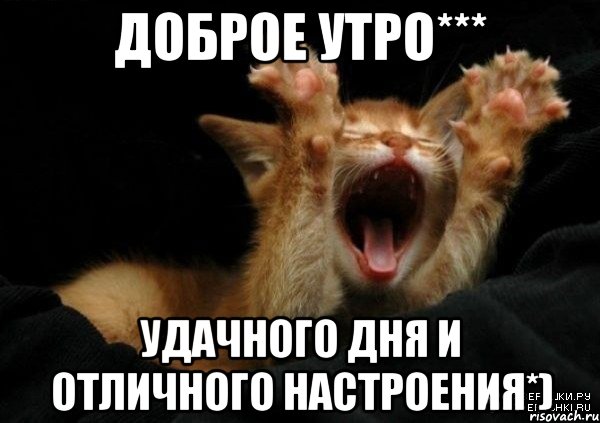 Доброе утро*** Удaчного дня и отличного настроения*)