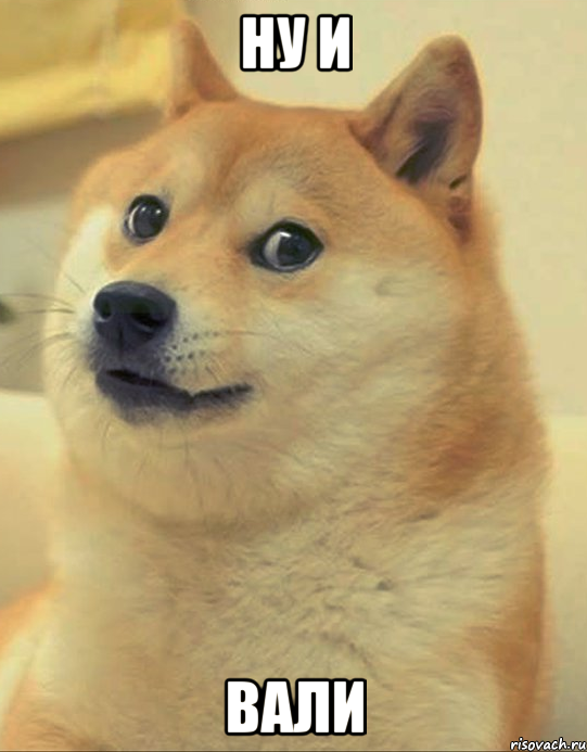 НУ И ВАЛИ, Мем doge woof