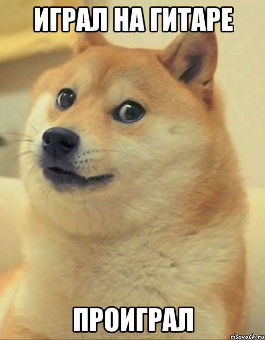 ИГРАЛ НА ГИТАРЕ ПРОИГРАЛ, Мем doge woof