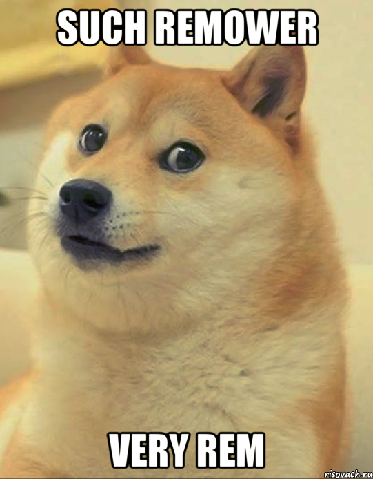 such Remower very Rem, Мем doge woof