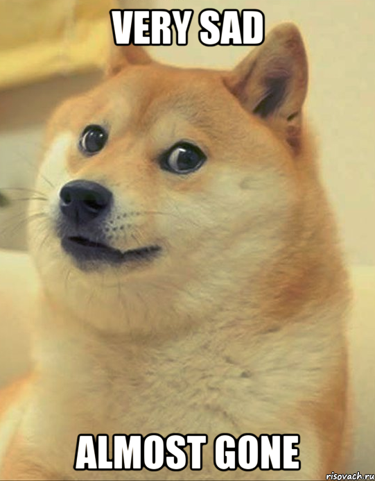 Very sad Almost gone, Мем doge woof