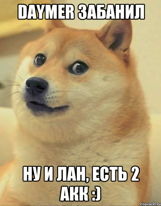 daymer забанил ну и лан, есть 2 акк :), Мем doge woof