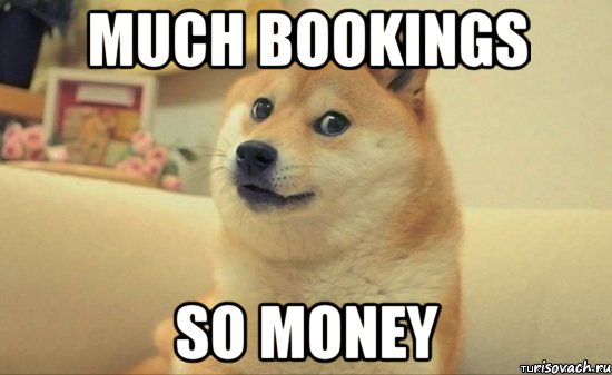 MUCH BOOKINGS SO MONEY