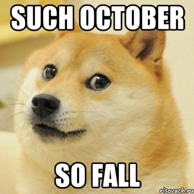 Such October So Fall, Мем doge woof