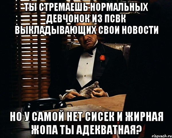 ты стремаешь нормальных девчонок из ПСВК выкладывающих свои новости но у самой нет сисек и жирная жопа ты адекватная?, Мем Дон Вито Корлеоне