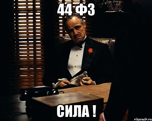 44 ФЗ СИЛА !, Мем Дон Вито Корлеоне