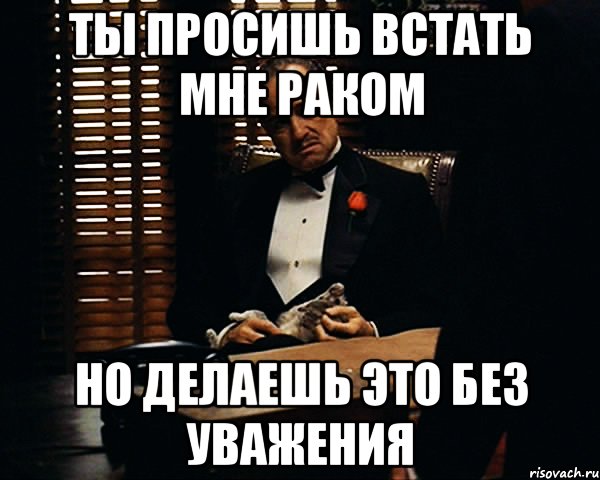 Ты просишь встать мне раком Но делаешь это без уважения, Мем Дон Вито Корлеоне