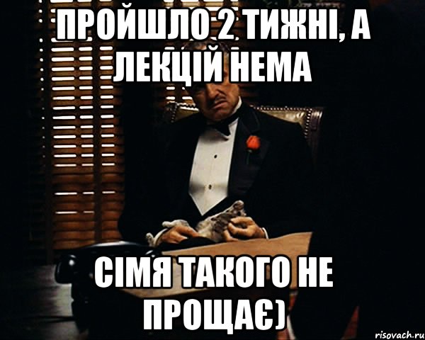 пройшло 2 тижні, а лекцій нема сімя такого не прощає), Мем Дон Вито Корлеоне