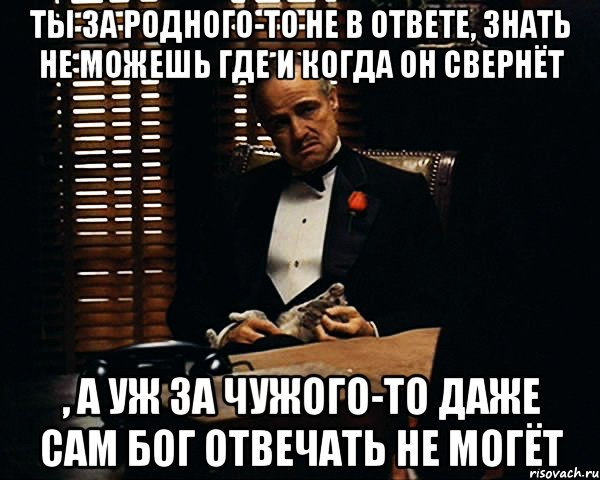 ты за родного-то не в ответе, знать не можешь где и когда он свернёт , а уж за чужого-то даже сам Бог отвечать не могёт, Мем Дон Вито Корлеоне