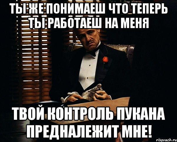 Ты же понимаеш что теперь ты работаеш на меня Твой контроль пукана предналежит мне!, Мем Дон Вито Корлеоне