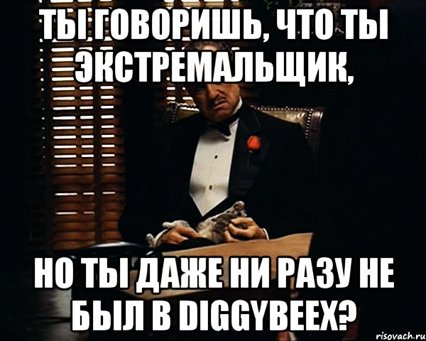 ты говоришь, что ты экстремальщик, но ты даже ни разу не был в DiggyBeex?, Мем Дон Вито Корлеоне